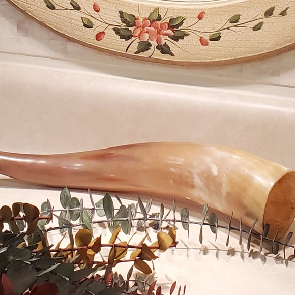 Genuine Cattle Horn Powder Horn - Picture 3 of 8